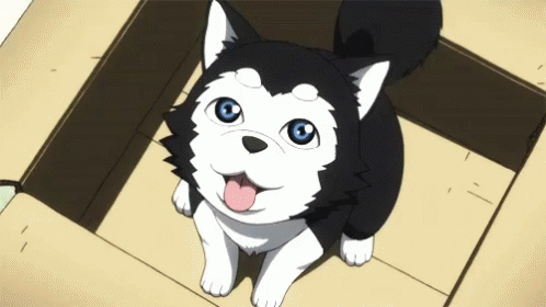 Dog Cute GIF - Dog Cute Anime GIFs