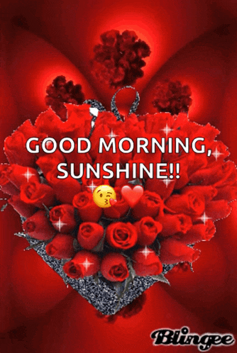 a heart shaped bouquet of red roses with the words good morning sunshine on it