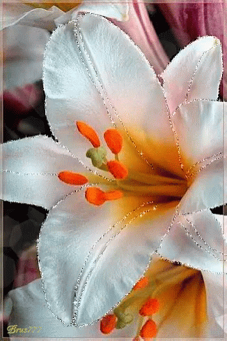 Flower Glitter GIF - Flower Glitter GIFs