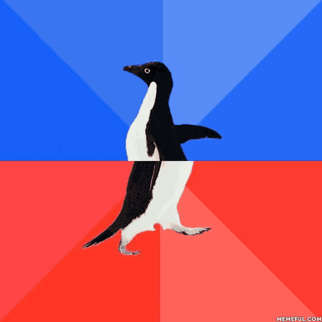 a black and white penguin on a red and blue background with memeful.com at the bottom