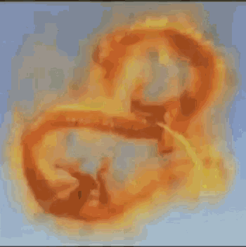 Roar Fire Ryukendo GIF - Roar Fire Ryukendo Fire Dragon GIFs