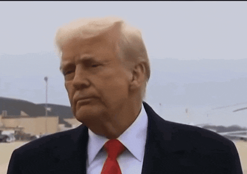 donald trump is wearing a suit and tie and looking at something