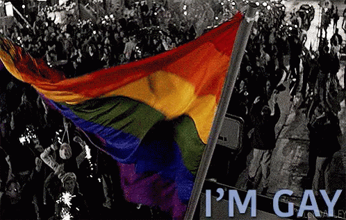 Im Gay GIF - Im Gay Flag Lgbtq GIFs