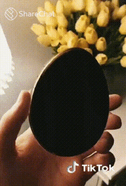 अंडाकारफ़ोन फूल GIF - अंडाकारफ़ोन फूल अंडा GIFs