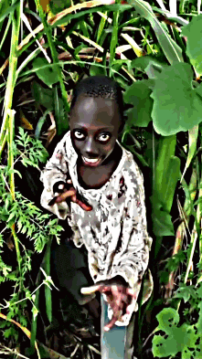 a young boy in a white shirt is standing in a jungle