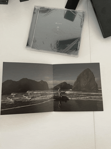 a black and white photo of a man on a beach next to a cd