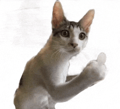 a cat is giving a thumbs up with its paw