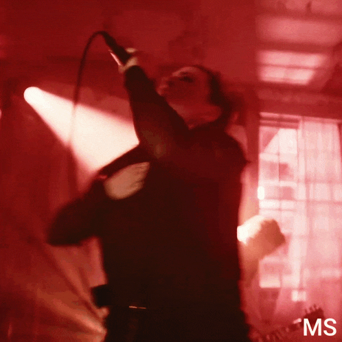a blurry photo of a man singing into a microphone with the letters ms on the bottom right