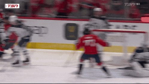 a hockey game is being played on a ten network