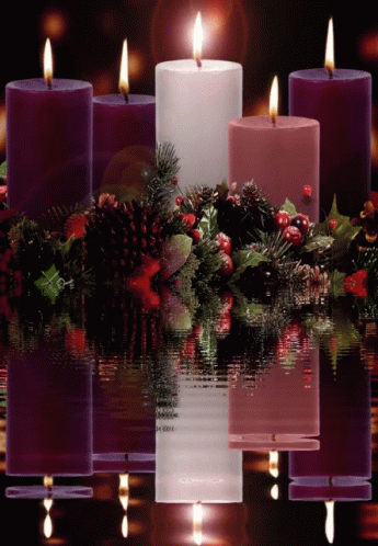 Candles Flowers GIF
