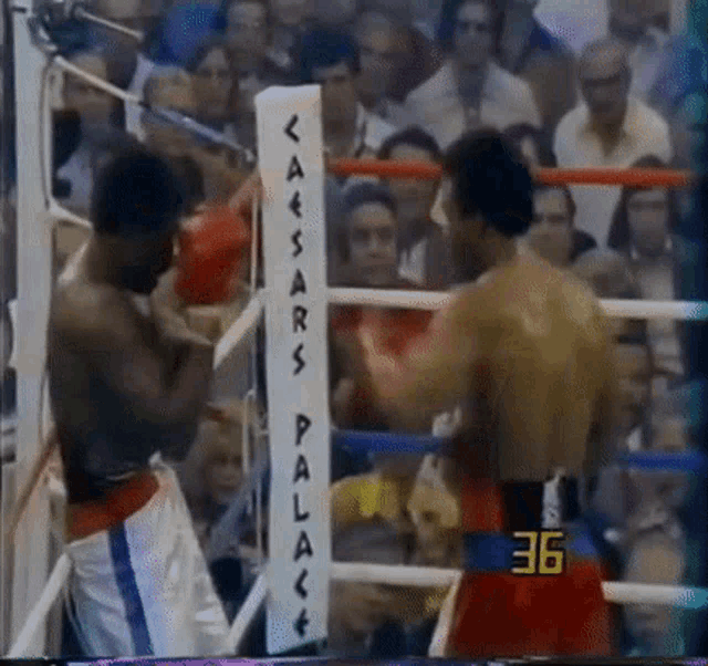 two boxers in a boxing ring with a sign that says caesars palace on it