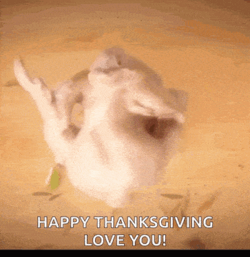 a picture of a chicken with the words happy thanksgiving love you