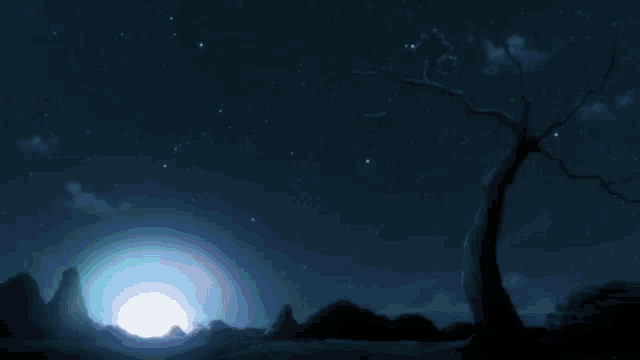 the sun is shining brightly in the night sky above a tree
