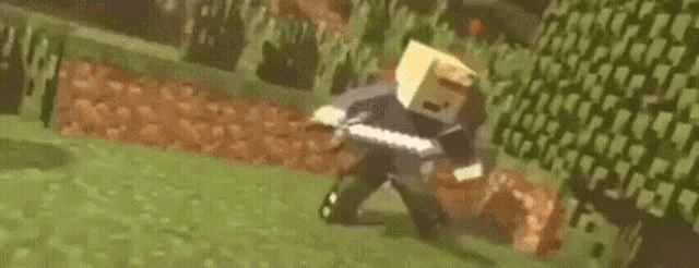 a couple of minecraft characters are standing next to each other in a grassy field .