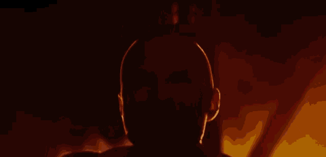 a bald man with a beard is standing in front of a fire in a dark room .