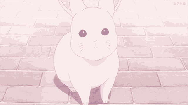 two white rabbits are standing next to each other on a brick sidewalk