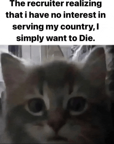 the recruiter realizing that i have no interest in serving my country i simply want to die .