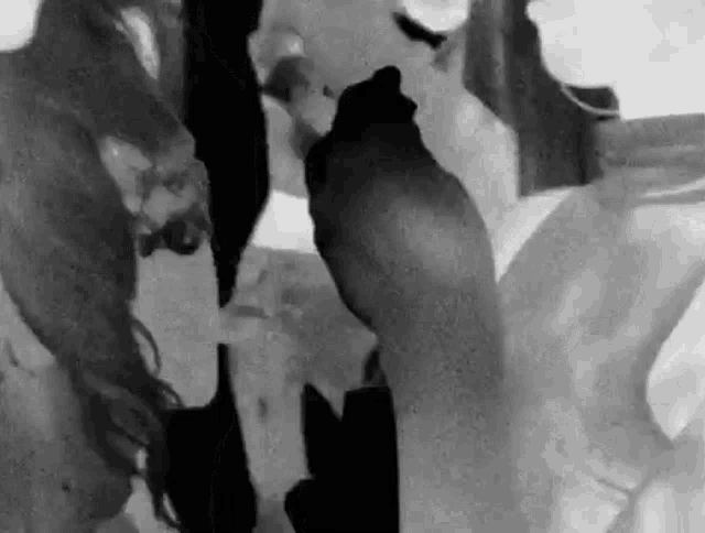 a black and white photo of a man and a woman .
