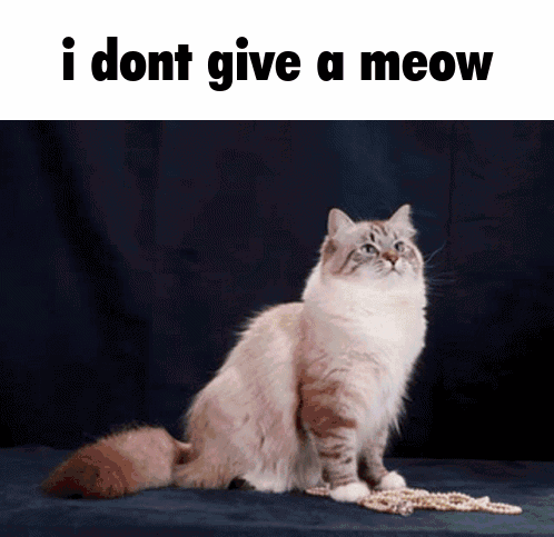 I Dont Give A Meow I Dont Care GIF - I Dont Give A Meow I Dont Care I Dont GIFs