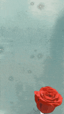 a painting of a woman 's face with red petals falling from the sky