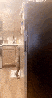 a dog is peeking out from behind a refrigerator door in a kitchen