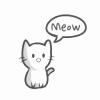 Meow GIF - Meow GIFs
