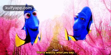Yes!That'S Exactly What You Any..Gif GIF - Yes!That'S Exactly What You Any. Animal Mammal GIFs
