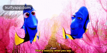 dory and marlin from the movie finding dory are talking