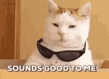 Sounds Good To Me Cats GIF