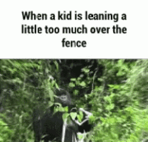 a gorilla is leaning over a fence in the jungle .