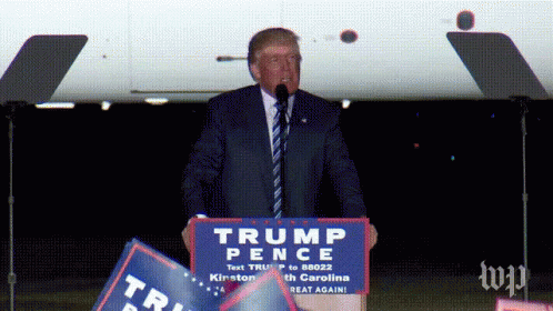 Drain The Swamp GIF - Drain The Swamp Donald Trump GIFs