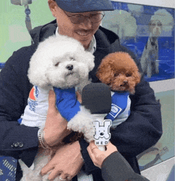 a man is holding two small dogs and a microphone that says heo on it