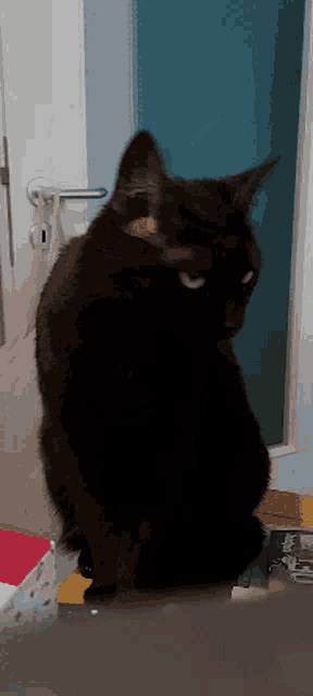 a black cat with white eyes is sitting in front of a blue door