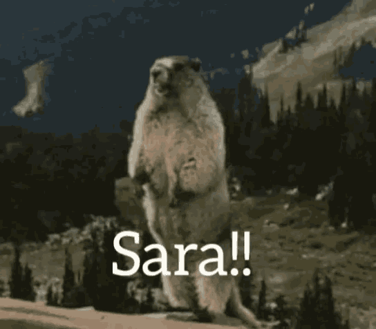 Yell Sara GIF - Yell Sara Gopher GIFs