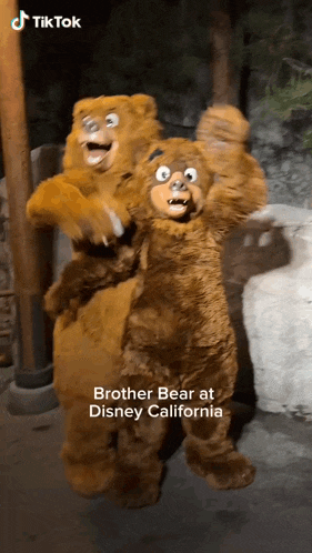 two teddy bears are standing next to each other and the caption says " brother bear at disney california "