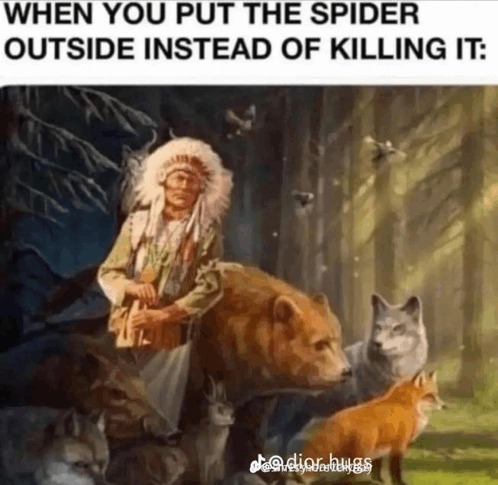 Spider Indian GIF - Spider Indian Animal GIFs