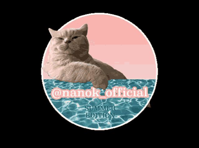 a picture of a cat in a pool with the words summer edition on it