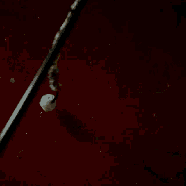 a close up of a bird 's wings with a toothbrush in the background