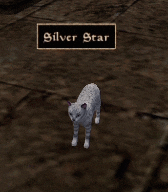 a white cat is standing in front of a sign that says " silver star "