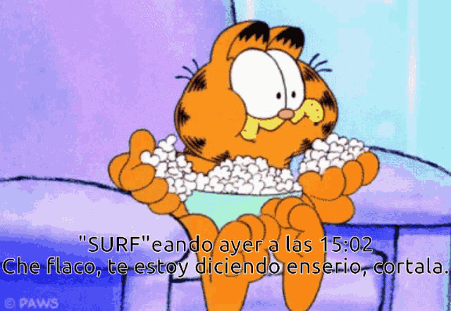 a cartoon of garfield eating popcorn with a caption that says " surf "