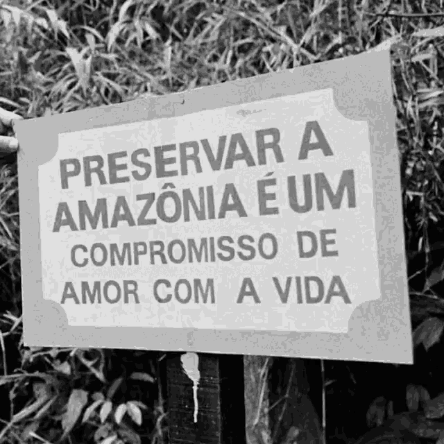 Marinasilva Preservar A Amazonia E Um GIF - Marinasilva Preservar A Amazonia E Um GIFs