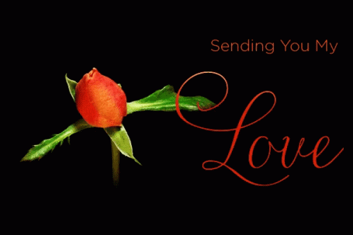 Kalp Sending You My Love GIF - Kalp Sending You My Love Rose GIFs