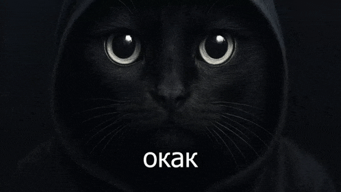 a black cat is wearing a hood and the word okak is below it