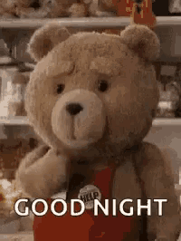 a teddy bear is standing in front of a shelf and saying `` good night '' .