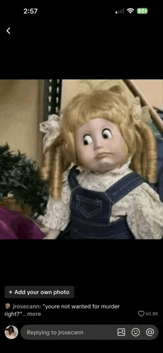 a picture of a doll with a caption that says " you 're not wanted for murder right? "
