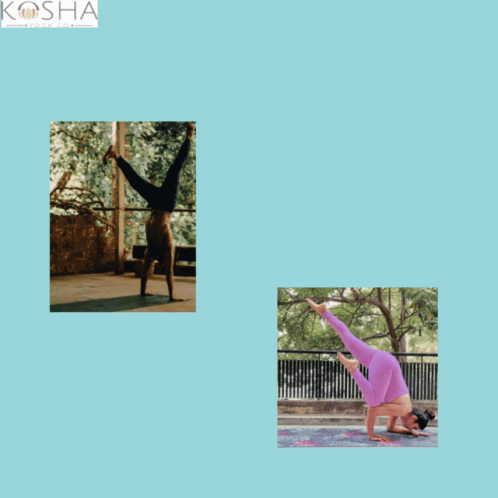 Yoga Mat India Best Grip Yoga Mat GIF - Yoga Mat India Best Grip Yoga Mat Yoga Mat GIFs