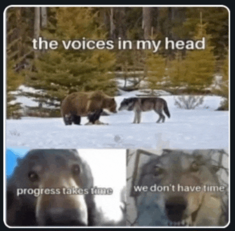 a picture of a bear and a wolf in the snow with the caption " the voices in my head "