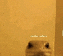 a lizard is standing next to a wall with a caption that says `` i don t find you funny '' .