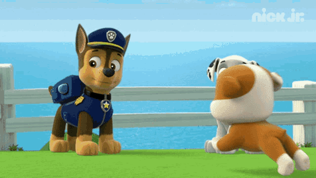 chase from the paw patrol show is standing next to another dog