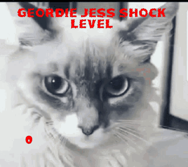 Jess Geordie GIF - Jess Geordie Shock GIFs